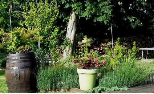a garden with two large pots of flowers and a barrel at Gite Labradors De Bailly - Giverny in Saint-Pierre-la-Garenne
