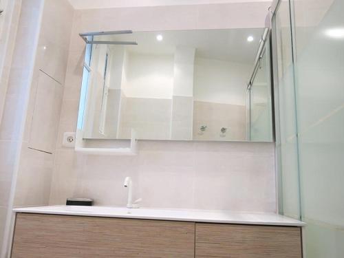 une salle de bain avec un lavabo et une douche en verre dans l'établissement Champs Elysees Argentine CityCosy, à Paris