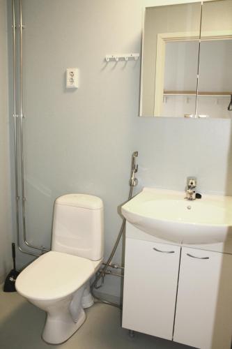 a bathroom with a white toilet and a sink at Summer Hotel Vuorilinna in Savonlinna
