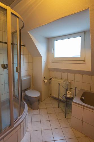 a bathroom with a toilet and a sink and a window at Ferienwohnung Auf Mullay in Reil