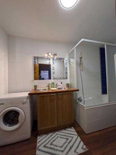 une salle de bain avec un lavabo et une machine à laver dans l'établissement Duplex le Lardenne - proche Hôpital - Clim - Terrasse - Parking, à Toulouse