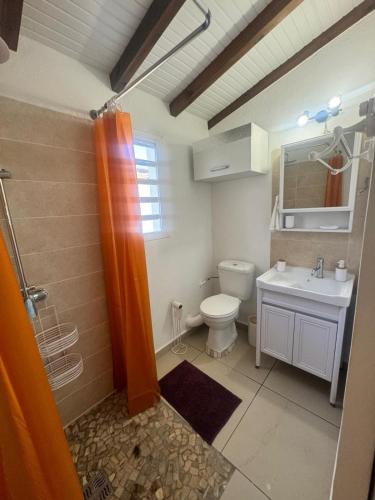 a bathroom with a shower and a toilet and a sink at Bien venu Miss' K in Anse-Bertrand