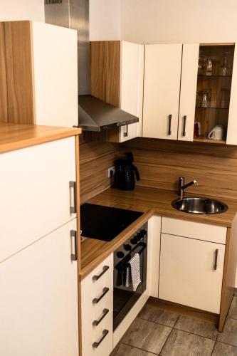 Kuchyň nebo kuchyňský kout v ubytování Orchidea Apartman