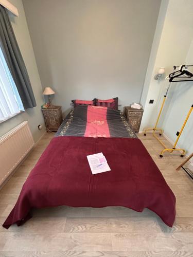 ein Schlafzimmer mit einem großen Bett mit einer roten Decke in der Unterkunft Chambre dans habitat partagé chez Séverine in Nivelles