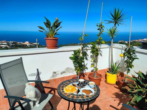 Private Room in Casa Kores