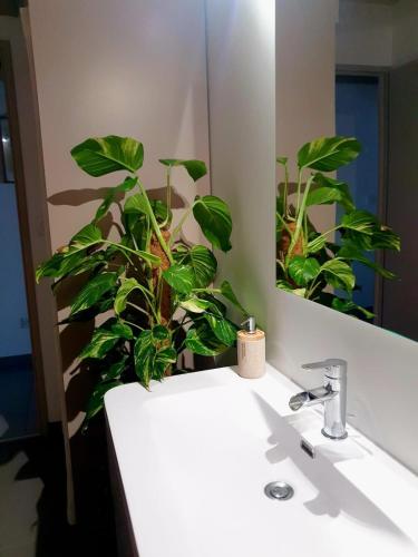 La salle de bains est pourvue d'un lavabo, d'un miroir et d'une plante. dans l'établissement L'Or du temps, appartement cosy, à Roanne