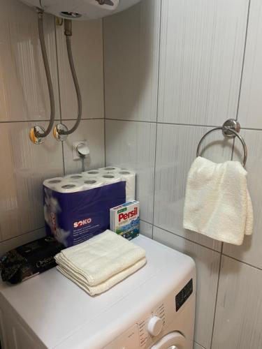 帕莱Stan na dan Ružica的洗衣机及其上面的毛巾