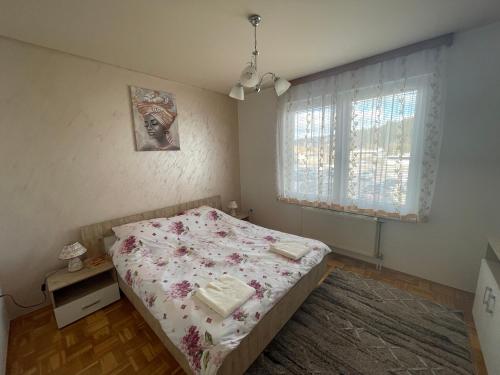 帕莱Stan na dan Ružica的一间卧室，里面有一张床和一扇窗户。