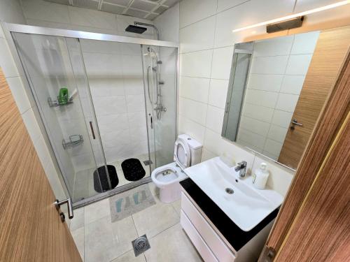 un bagno con doccia, lavandino e WC di Gallery Apartment a Skopje