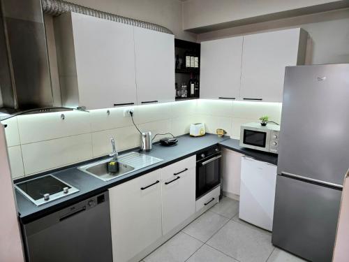 kuchnia z białymi szafkami i lodówką ze stali nierdzewnej w obiekcie Gallery Apartment w mieście Skopje