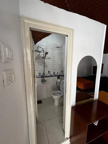 a bathroom with a toilet and a shower at Nile View Guest House in Aswan