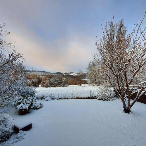 a snow covered yard with a fence and a tree at Ons huisje "Bienvenidos" met garage in Durbuy