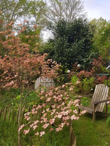 Photo de la galerie de l'établissement Chambre d'hôtes petite ruche, à Samois-sur-Seine