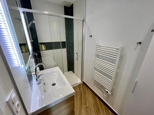 un bagno bianco con lavandino e doccia di T2 climatisé face Loire et château le 4-4 a Amboise