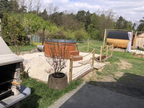 a garden with a tree in a pot next to a fence at Agroturystyka Siedlisko in Kowiesy