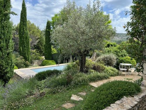 a garden with a tree and a swimming pool at La Maison de Piolon in Beaumont-du-Ventoux