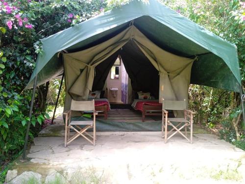 a green tent with chairs and a bed in it at Best Camping Tours Campsite in Masai Mara