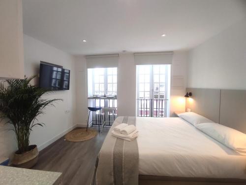 L1 - Disfruta en Os Vinos a dos pasos de la catedral