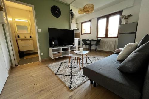 un salon avec un canapé et une table dans l'établissement SOH Rent Strasbourg appartement wifi terrasse, à Strasbourg