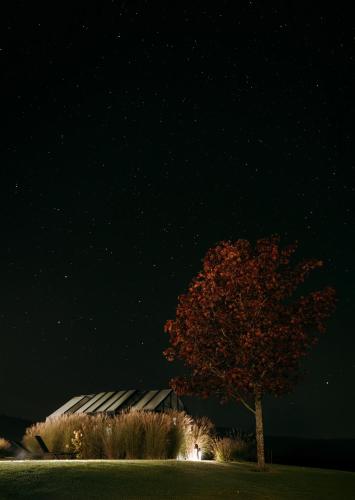 a tree in front of a building at night at Szopa in Ustrzyki Dolne