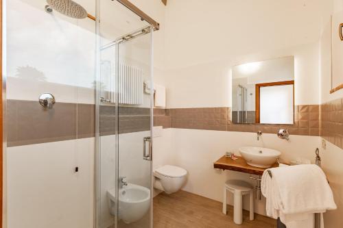a bathroom with a shower and a toilet and a sink at Agriturismo Palazzo Bandino - Wine cellar, on reservation restaurant and spa in Chianciano Terme