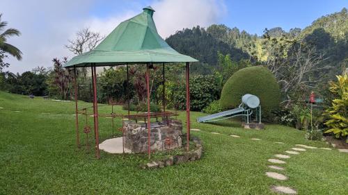 Ein Garten an der Unterkunft Lime Tree Farm, Blue Mountains
