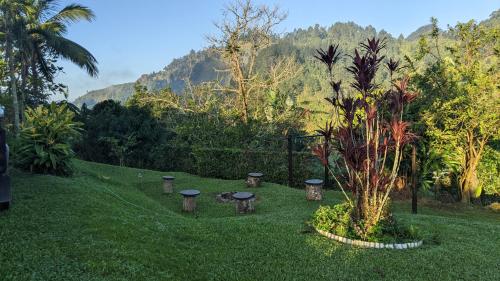Ein Garten an der Unterkunft Lime Tree Farm, Blue Mountains
