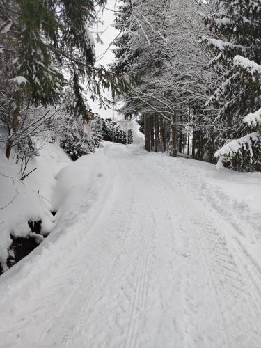 a snow covered road with trees on the side at Pokoje u Juroszka in Istebna