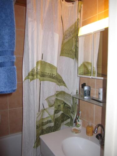 une salle de bain avec un lavabo et un rideau de douche dans l'établissement F2 Grand Confort en face du télécabine, à Thollon-les-Mémises