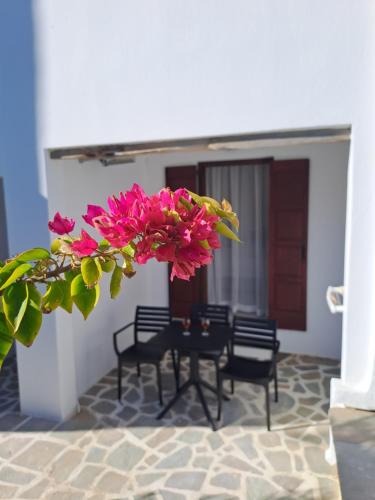 a group of chairs and a plant with pink flowers at Anemomilos Beach hotel in Agia Anna Naxos