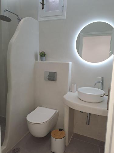 a bathroom with a toilet and a sink and a mirror at Anemomilos Beach hotel in Agia Anna Naxos