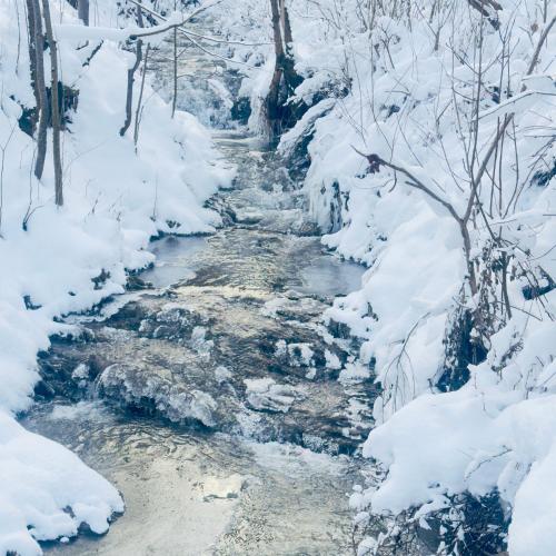 a stream in the snow with snow covered trees at Dacha PODOBOVETS 127 in Podobovets