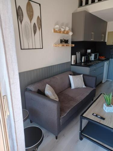 un salon avec un canapé marron et une table dans l'établissement Appartement en résidence, à Saint-Cyprien
