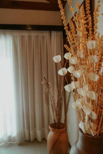two vases with plants in them next to a window at Jaguaríndia Village in Fortim
