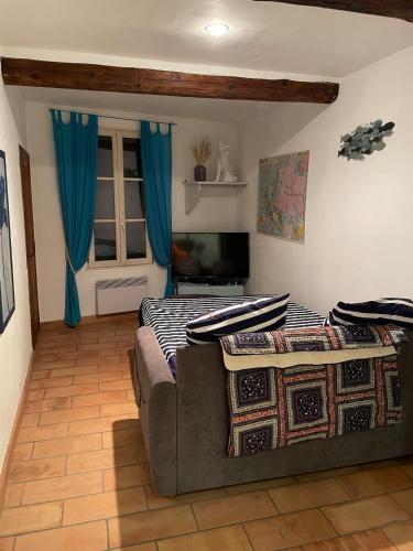 un salon avec un canapé et une télévision à écran plat dans l'établissement Nostradamus, à Saint-Rémy-de-Provence