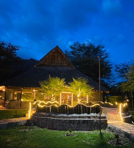 a resort with lights in the yard at night at Mara Sweet Acacia Lodge in Talek