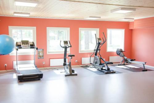 Fitness centrum a/nebo fitness zařízení v ubytování First Camp Ansia - Lycksele