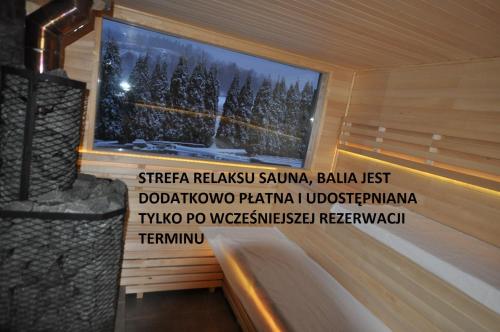 a window in a sauna with a picture of trees at Apartamenty Sowiogórskie in Pieszyce