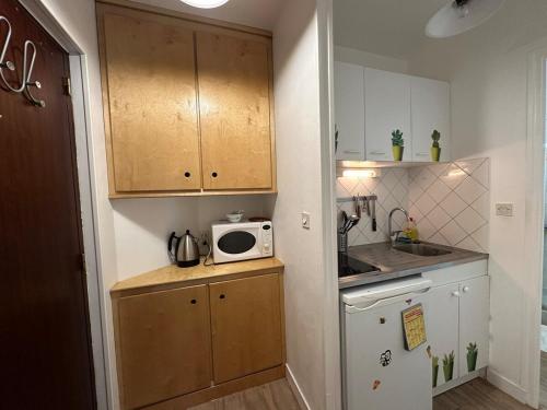une petite cuisine avec un évier et un micro-ondes dans l'établissement San Francisco, Unique Charming Studio, à Reims