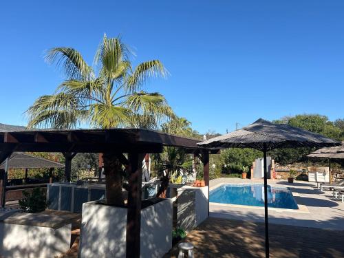 a resort with a palm tree and a swimming pool at Quinta Bohemia in Moncarapacho
