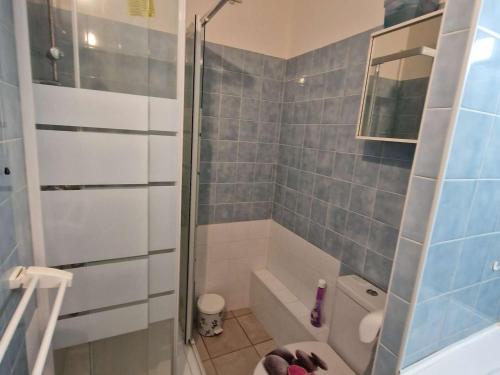 une salle de bain avec une douche, des toilettes et un lavabo dans l'établissement Appartement cosy avec accès plage et parking, 4 couchages à Marseillan-Plage - FR-1-387-92, à Marseillan