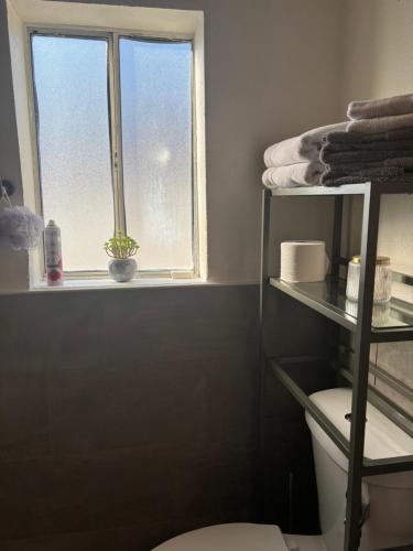 a bathroom with a toilet and a window at ULTRA COZY CASITA BY DTWN PHX in Phoenix