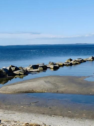 a group of rocks in the water on a beach at Fewo-Romuli in Eggesin
