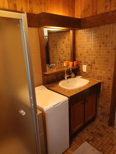 La salle de bains est pourvue d'un lavabo et d'un lave-linge. dans l'établissement LE CLOS DE RENNEs, à Megève