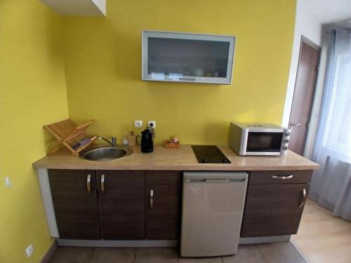 une cuisine avec un évier et un micro-ondes dans l'établissement Hotel le 116, à Gravelines