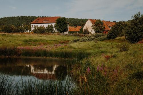 a house sitting on a hill next to a body of water at Rittergut Positz in Oppurg