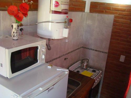 Dapur atau dapur kecil di Aiken Cabañas