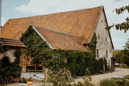 an old building with ivy on it at Rittergut Positz in Oppurg