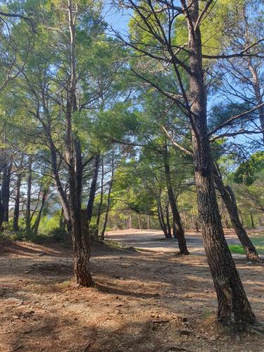 Un paisaje natural cerca del departamento