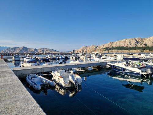 a bunch of boats are docked in a marina at Apartments Gorica 2 in Baška